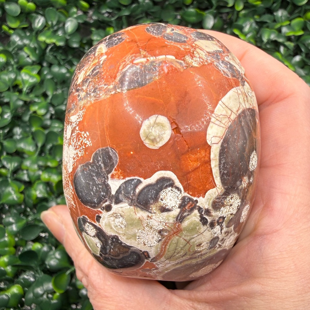 Money Agate (Indonesian Bloodstone) Skull Carving - Picture 5 of 8